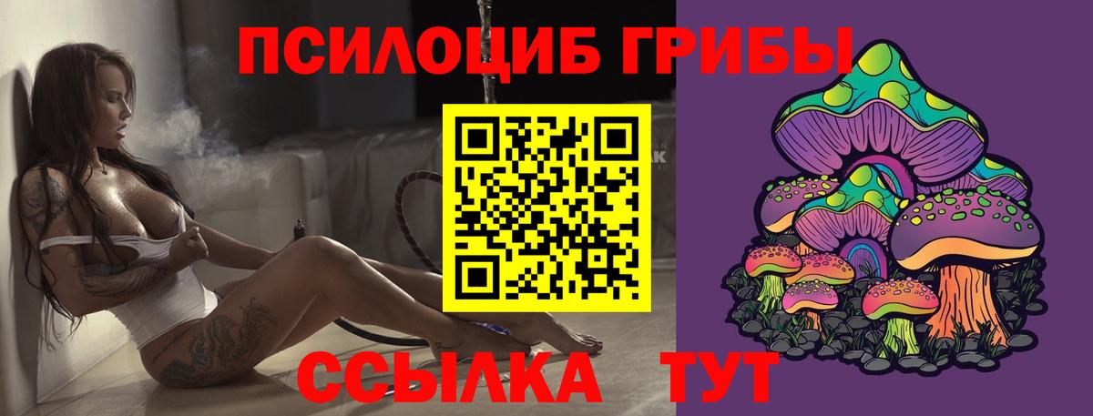 Галлюциногенные грибы MAGIC MUSHROOMS  хочу наркоту  Десногорск  Вход с VPN 